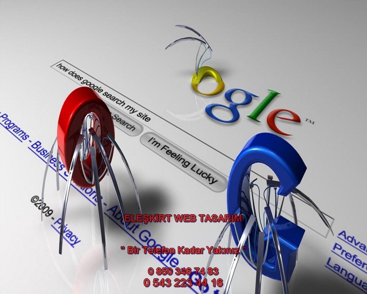 Eleşkirt Web Tasarım