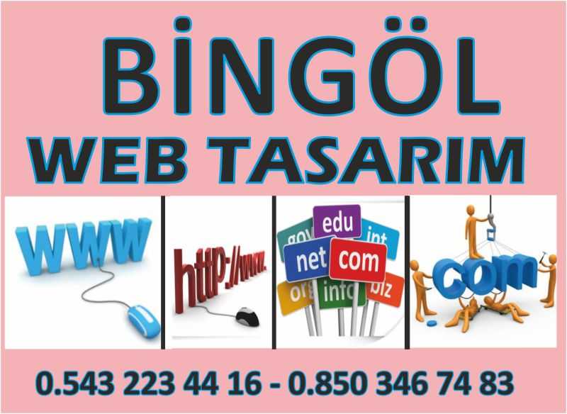 Bingöl Web Tasarım
