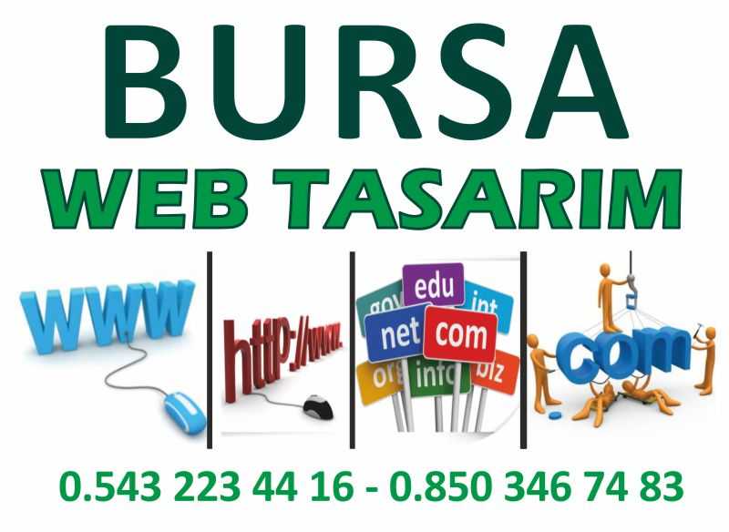 Bursa Web Tasarım