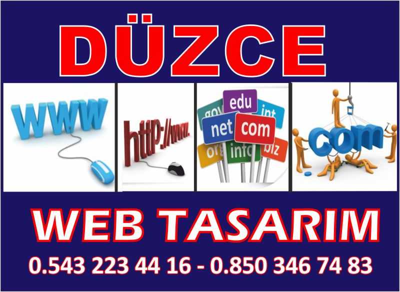 Düzce Web Tasarım