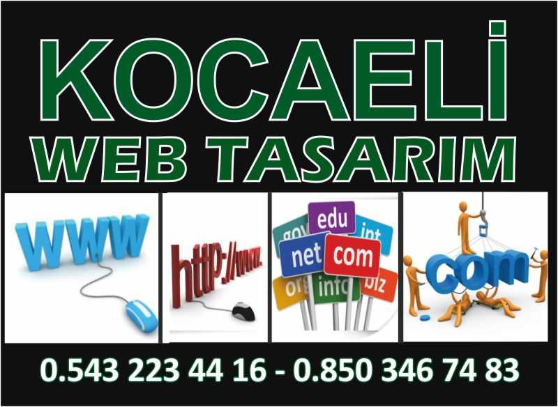 Kocaeli Web Tasarım