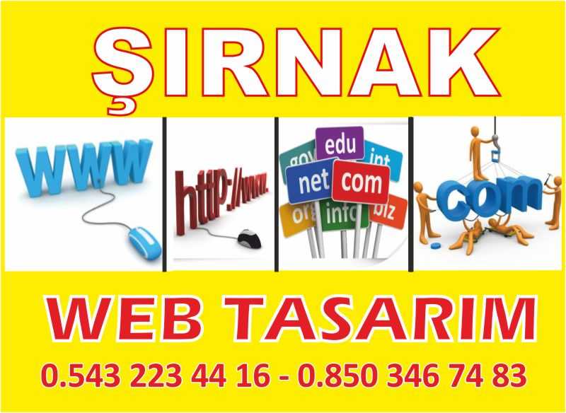 Şırnak Web Tasarım