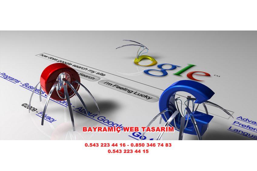 Biga Web Tasarım