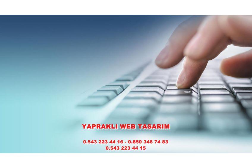 Yapraklı Web Tasarım