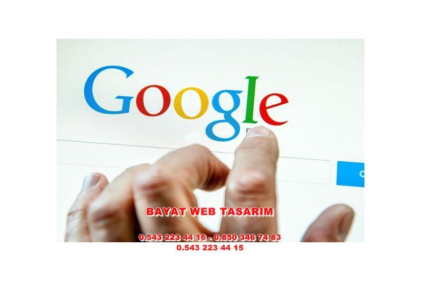 Kargı Web Tasarım