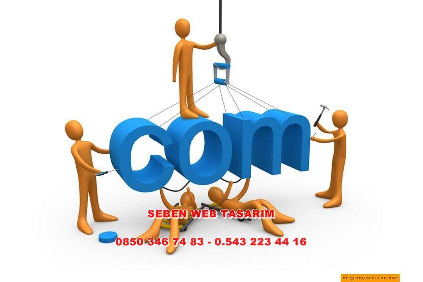 Yeniçağa Web Tasarım
