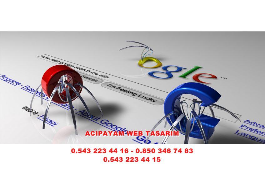 Baklan Web Tasarım
