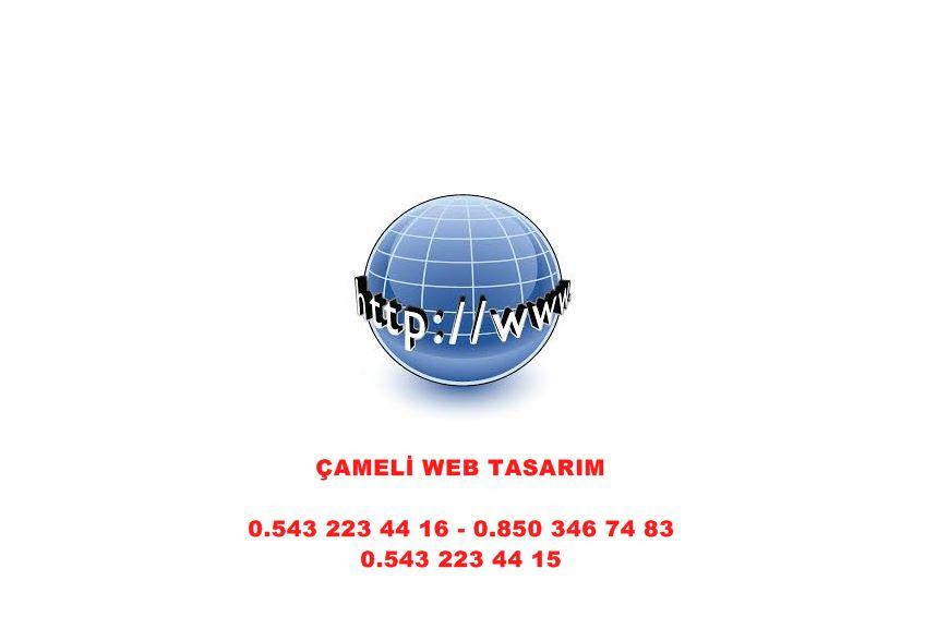 Çameli Web Tasarım