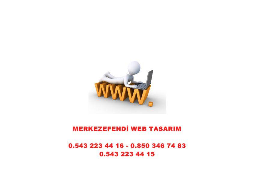 Sarayköy Web Tasarım