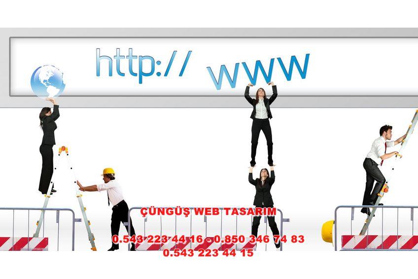 Çüngüş Web Tasarım