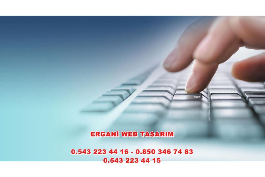 Ergani Web Tasarım