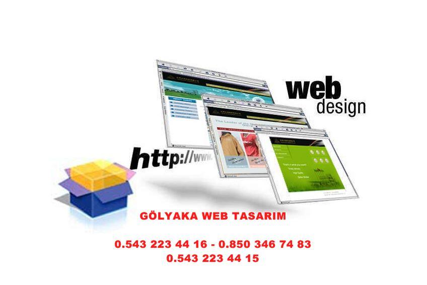 Kaynaşlı Web Tasarım