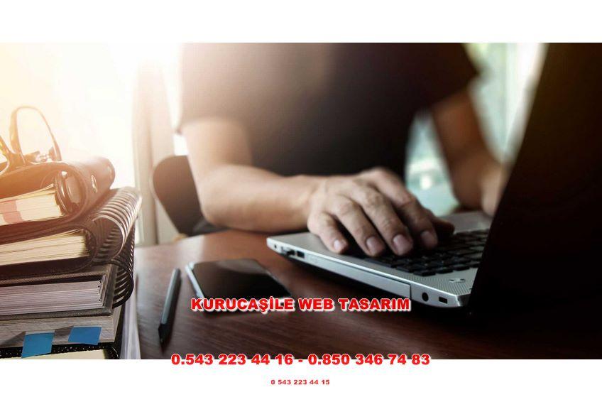 Kurucaşile Web Tasarım