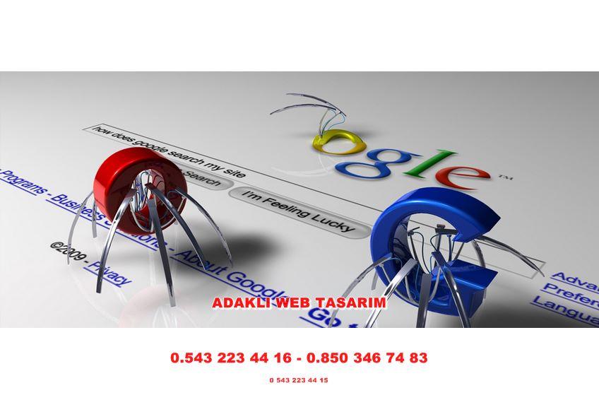 Adaklı Web Tasarım