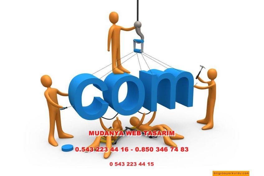 Mudanya Web Tasarım